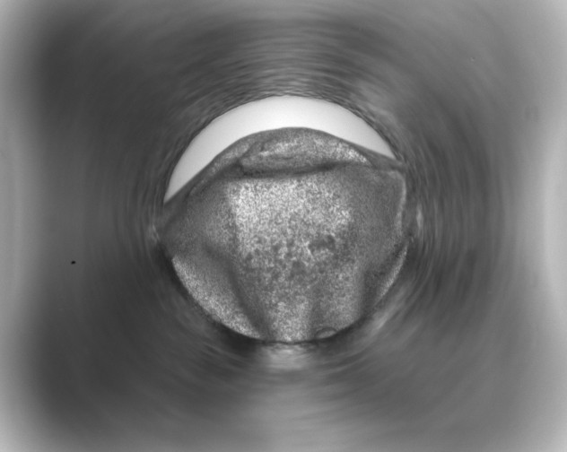 X0000088730189200706212045