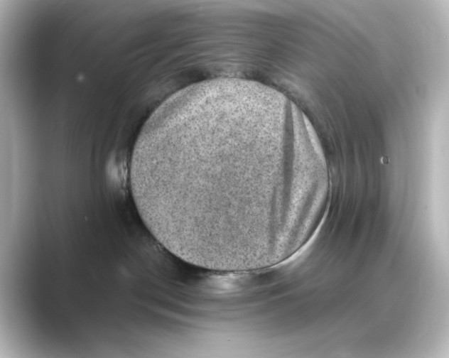 X0000088730190200706212045