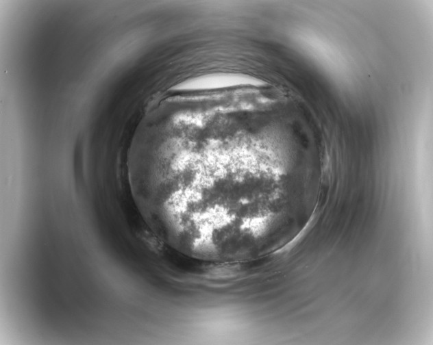 X0000088730191200706212045