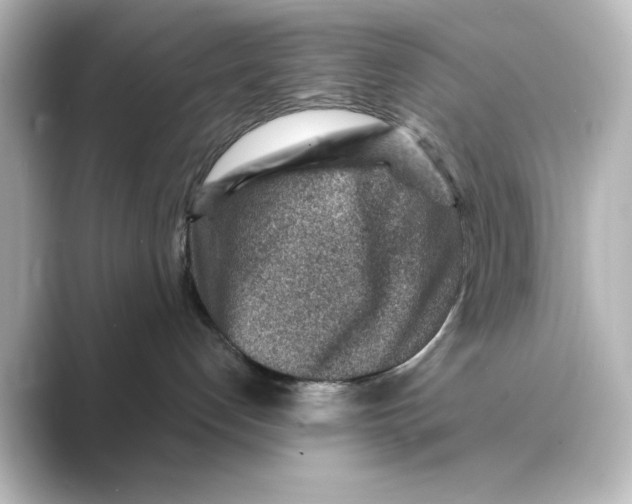 X0000088730192200706212045