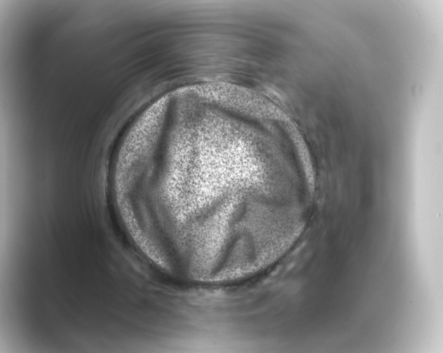 X0000088730194200706212045