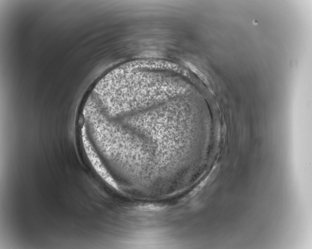 X0000088730195200706212045