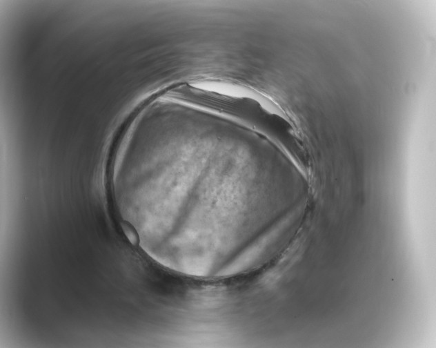 X0000088730196200706212045