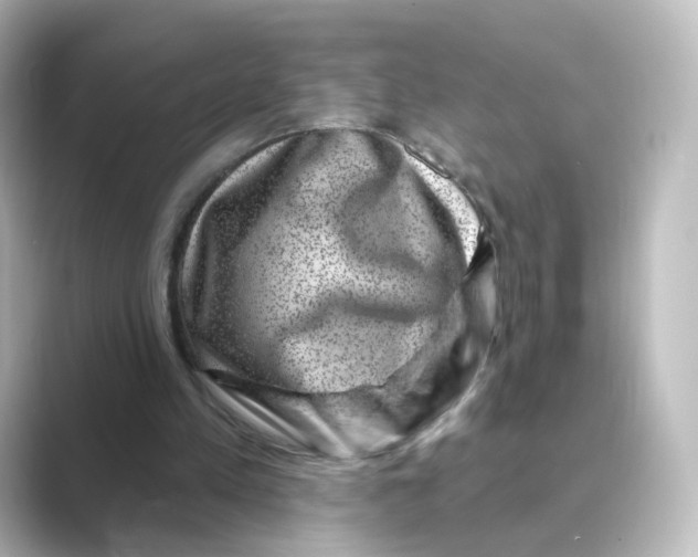 X0000088730197200706212045