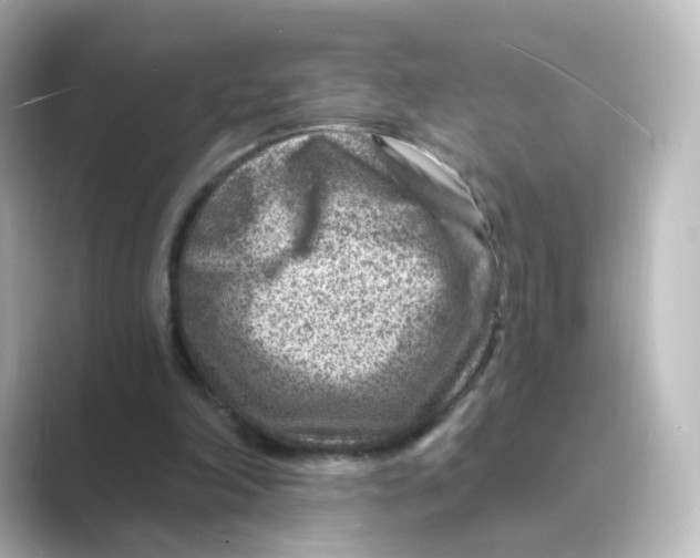 X0000088730198200706212045