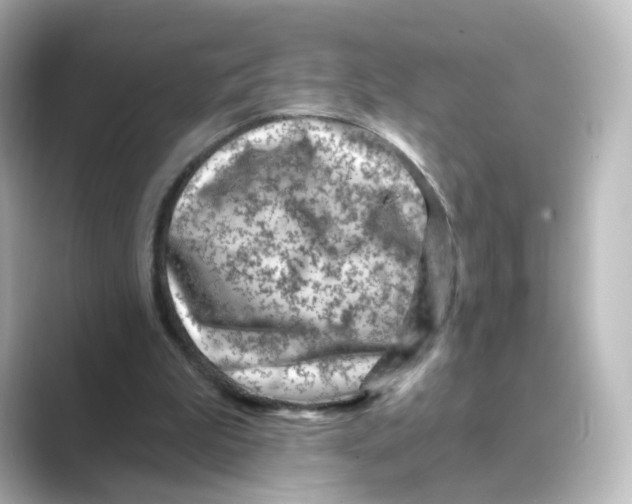 X0000088730199200706212045