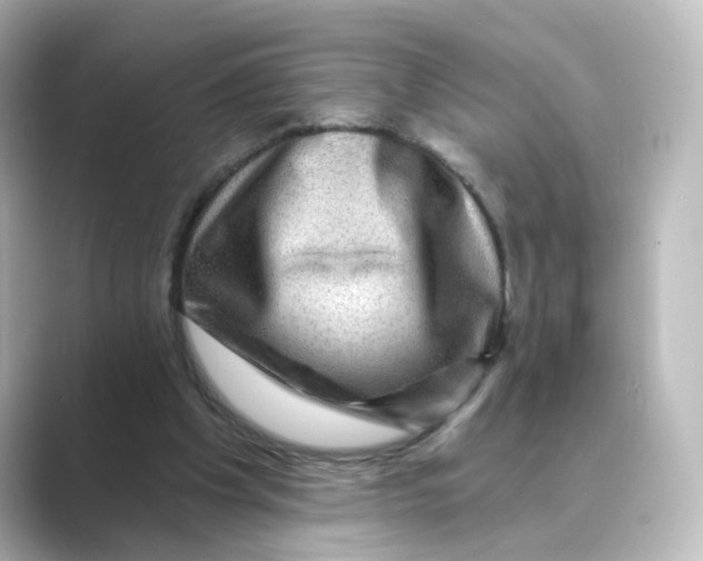 X0000088730201200706212045