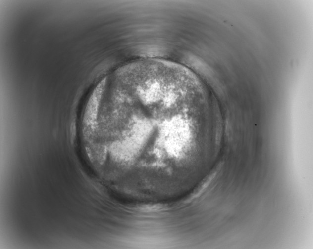 X0000088730202200706212045