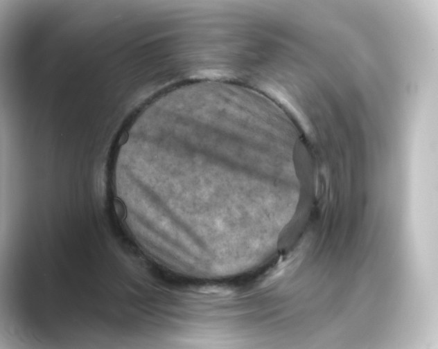 X0000088730204200706212045