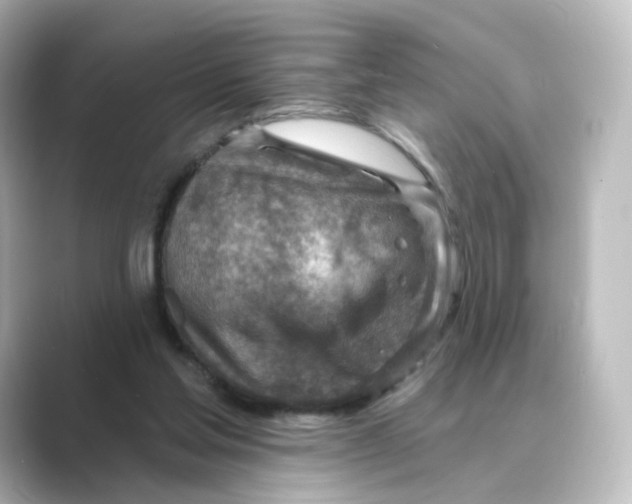 X0000088730205200706212045