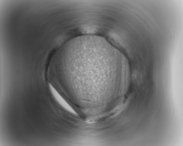 X0000088730209200706212045