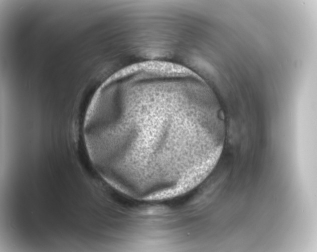 X0000088730210200706212045