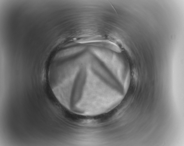 X0000088730212200706212045