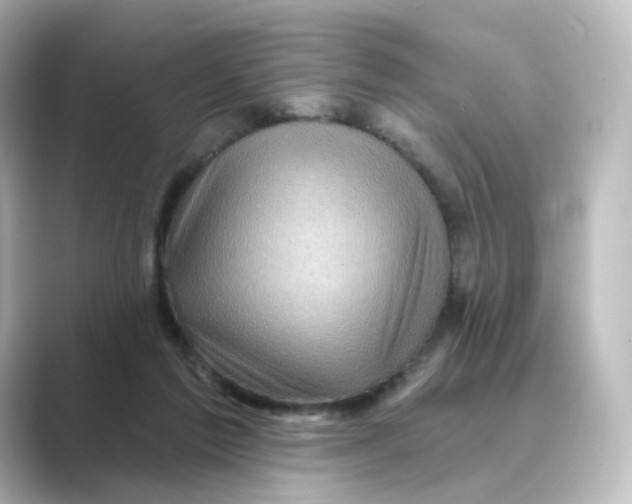 X0000088730213200706212045