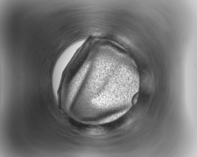 X0000088730215200706212045