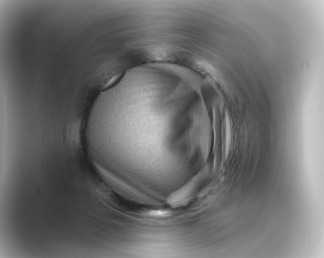 X0000088730217200706212045