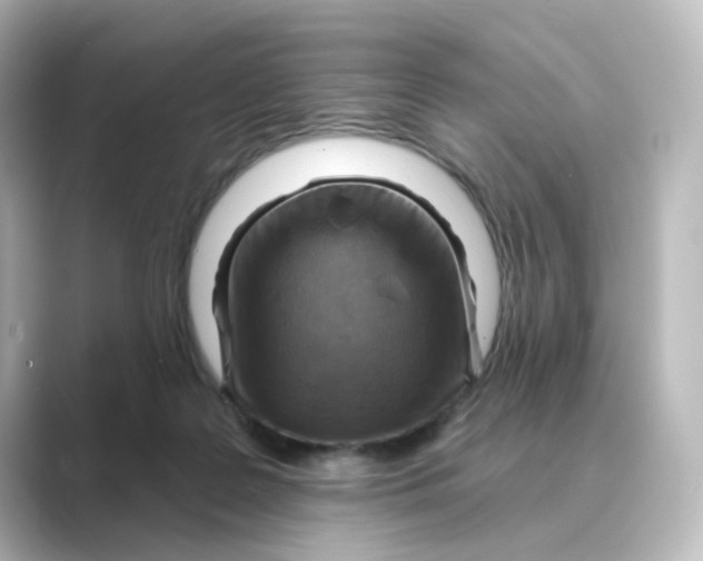 X0000088730219200706212045