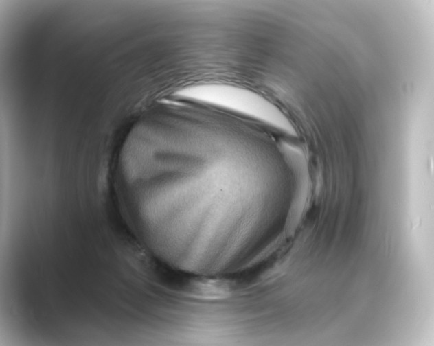 X0000088730221200706212045