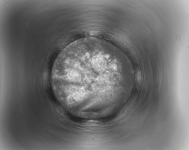 X0000088730222200706212045