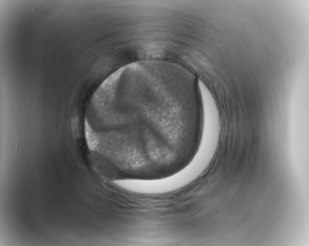 X0000088730224200706212044