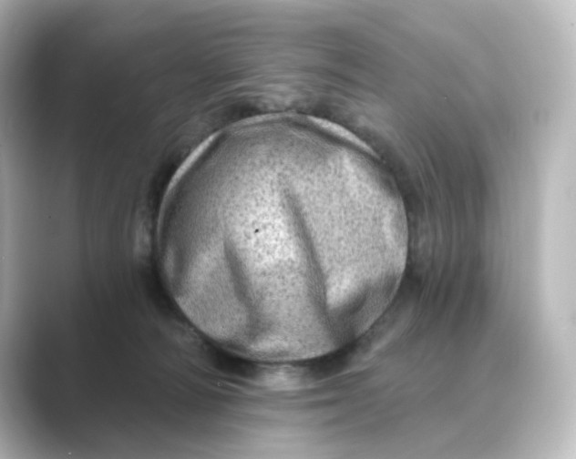 X0000088730226200706212044