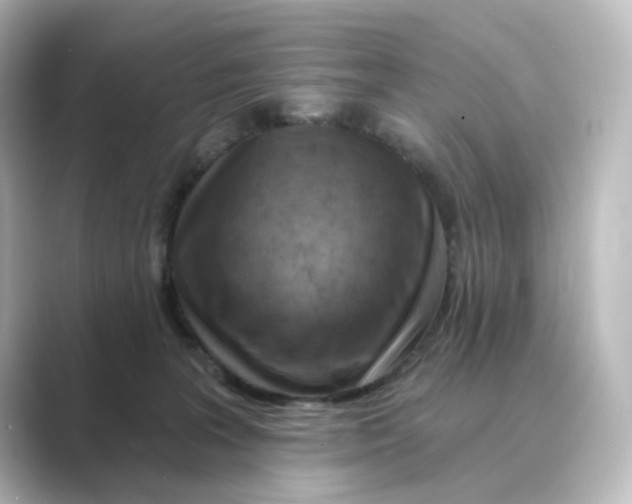 X0000088730227200706212044