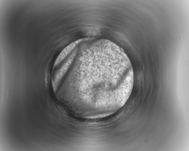 X0000088730228200706212044