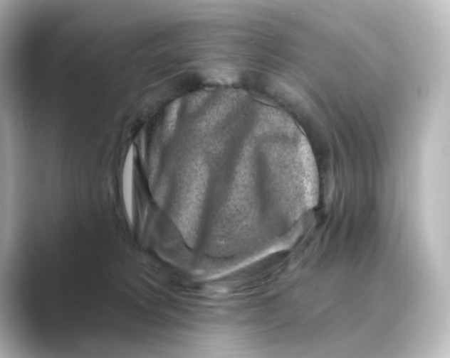 X0000088730229200706212044