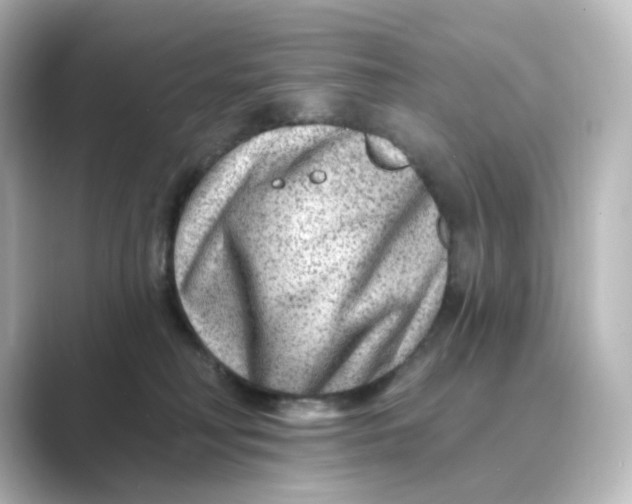 X0000088730230200706212044