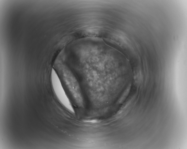 X0000088730231200706212044