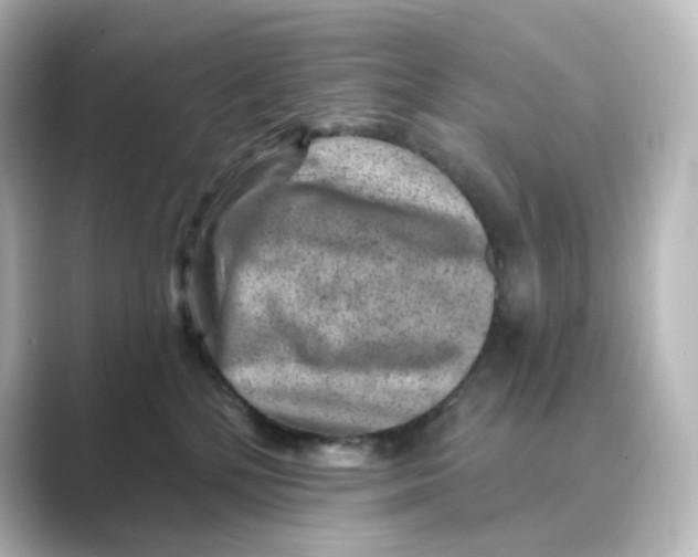 X0000088730232200706212044