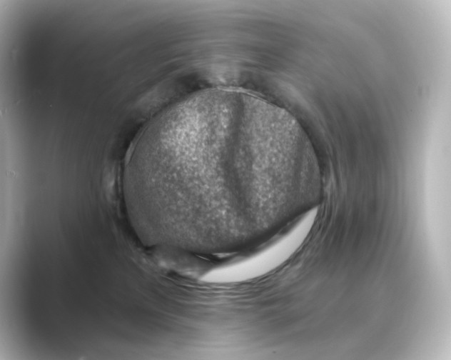 X0000088730233200706212044