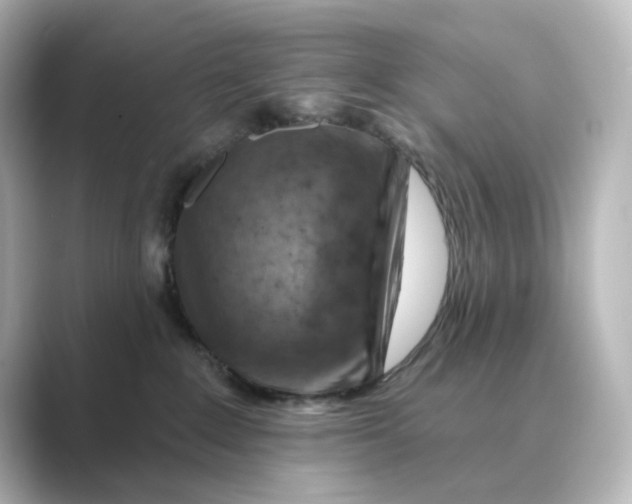 X0000088730235200706212044