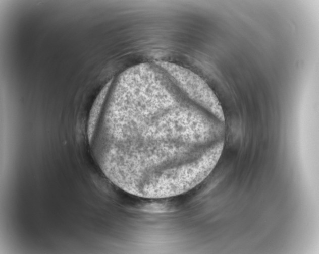 X0000088730236200706212044