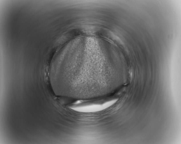 X0000088730237200706212044