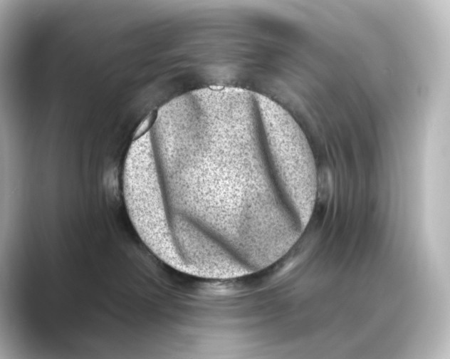 X0000088730238200706212044