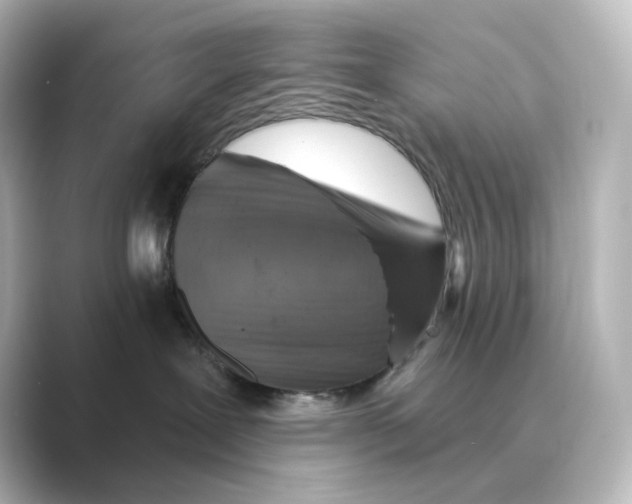 X0000088730239200706212044