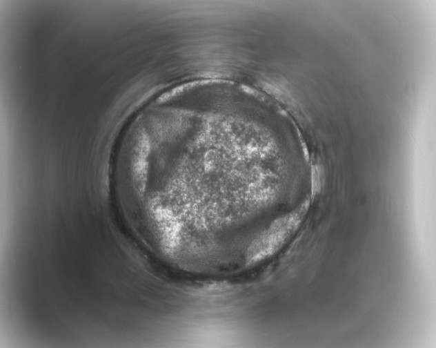 X0000088730243200706212044