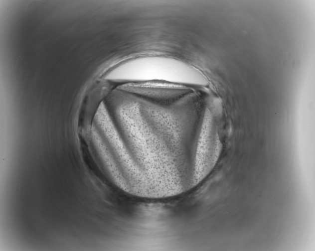 X0000088730244200706212044