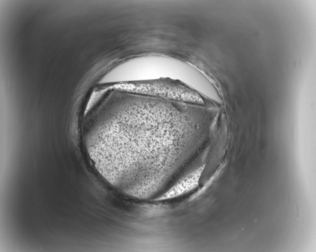 X0000088730245200706212044