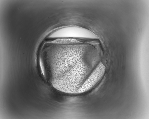 X0000088730246200706212044