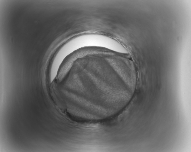 X0000088730247200706212044