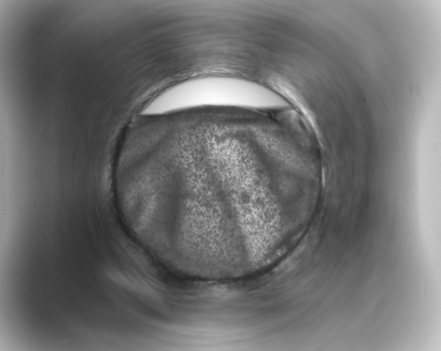 X0000088730249200706212044