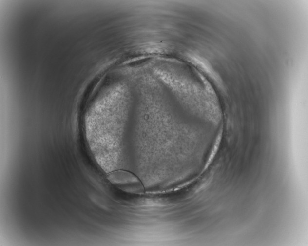 X0000088730250200706212044