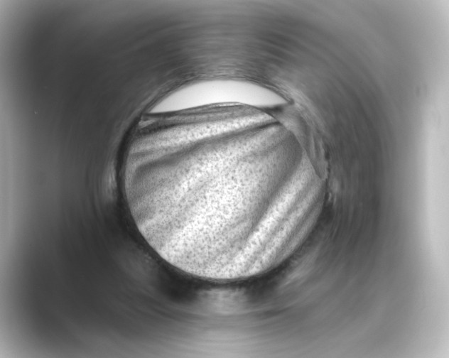 X0000088730251200706212044