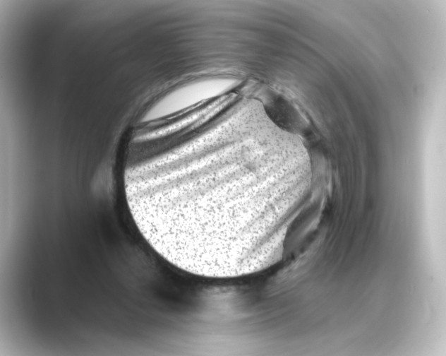 X0000088730252200706212044