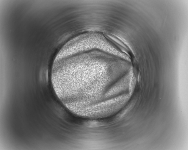 X0000088730253200706212044