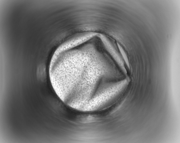 X0000088730254200706212044