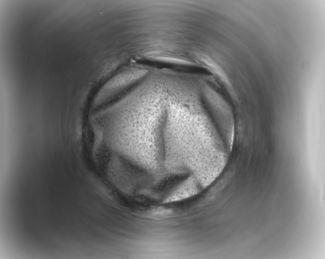 X0000088730257200706212044