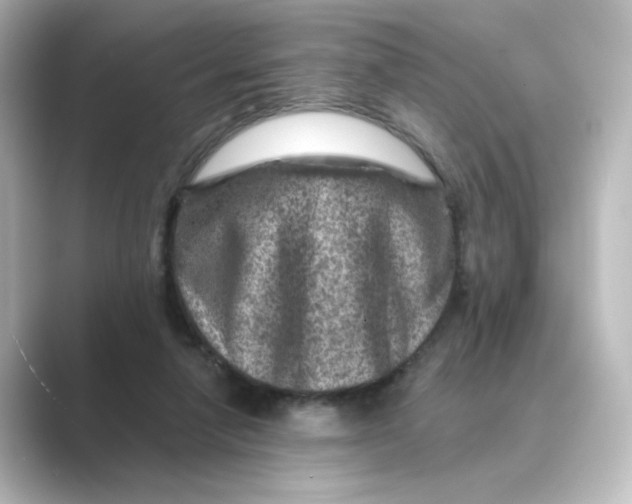 X0000088730258200706212044